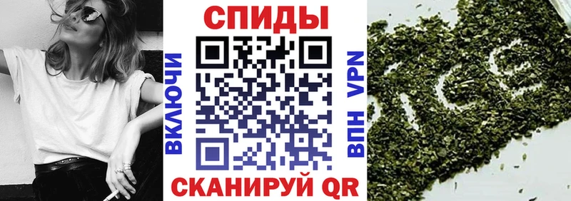 Купить  Мураши  БУТИРАТ оксибутират 