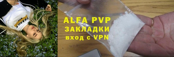 сатива Дмитриев