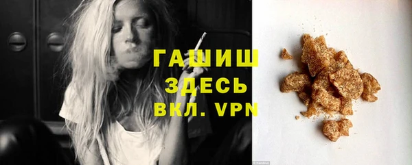 сатива Дмитриев