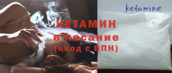 сатива Дмитриев