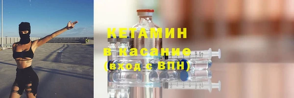 сатива Дмитриев