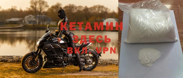 сатива Дмитриев