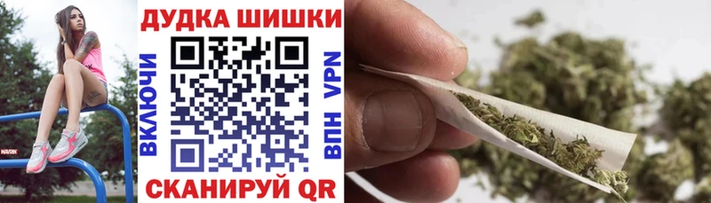 Купить Мураши Канабис Amnesia